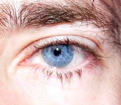 Profil de Xalbat